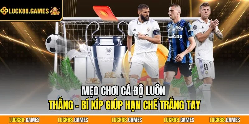 Mẹo chơi cá độ luôn thắng